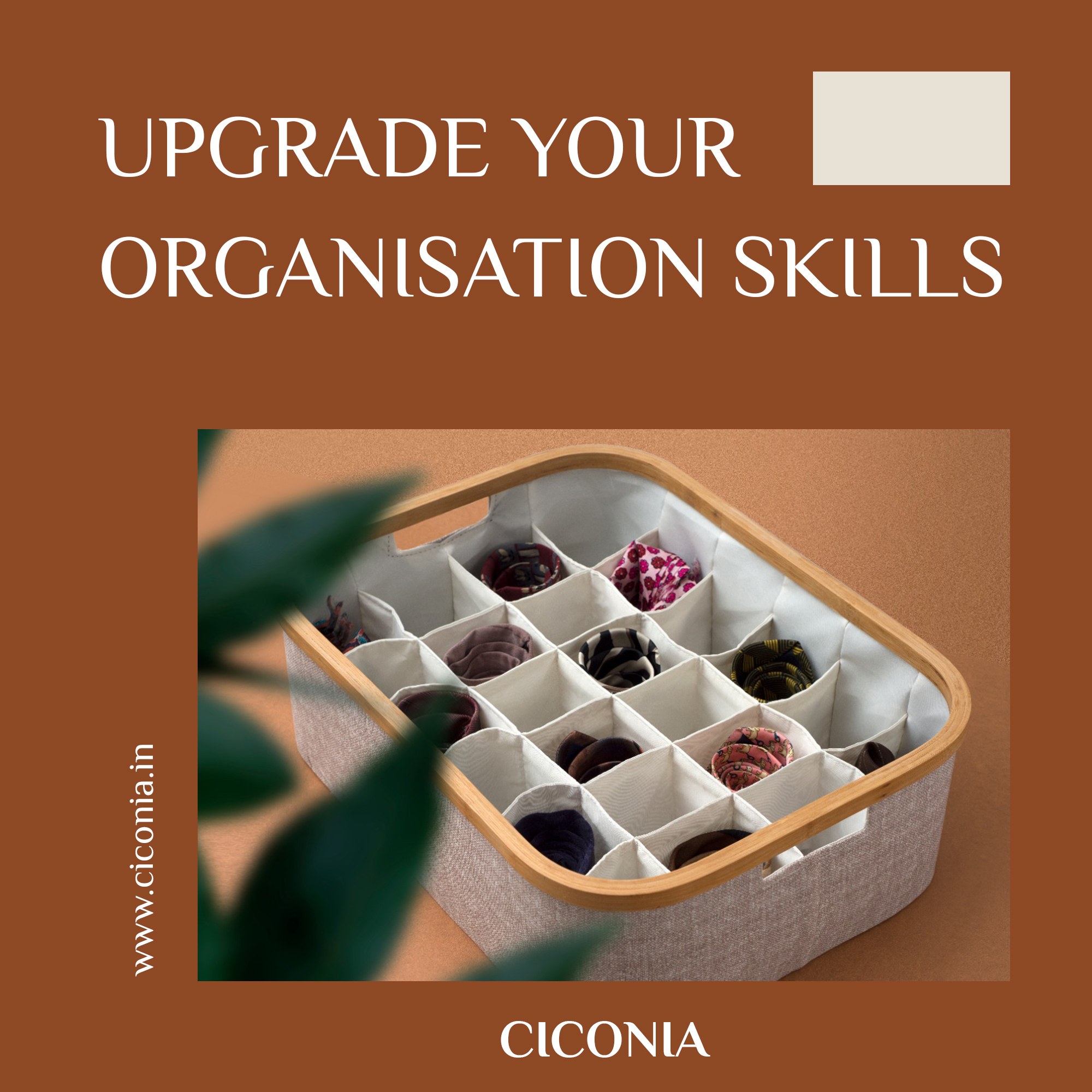 Ciconia social creative — upgrade your organisation skills